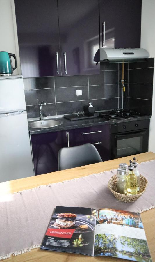 Apartment Sandra Toplice Sveti Martin Свети-Мартин-на-Мору Экстерьер фото